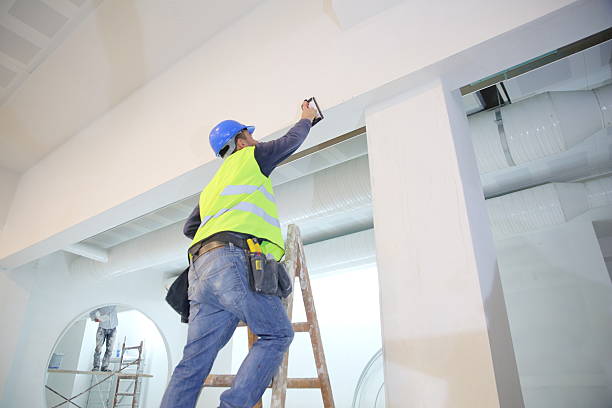 Best Black Mold Removal  in Commack, NY